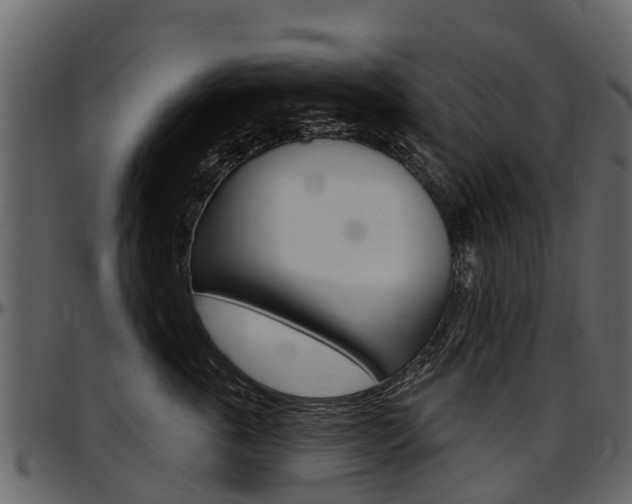 X0000097610763200802290756
