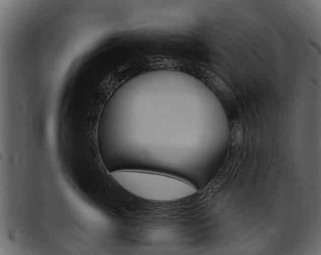 X0000097610764200802290756