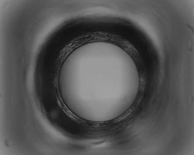 X0000097610765200802290756