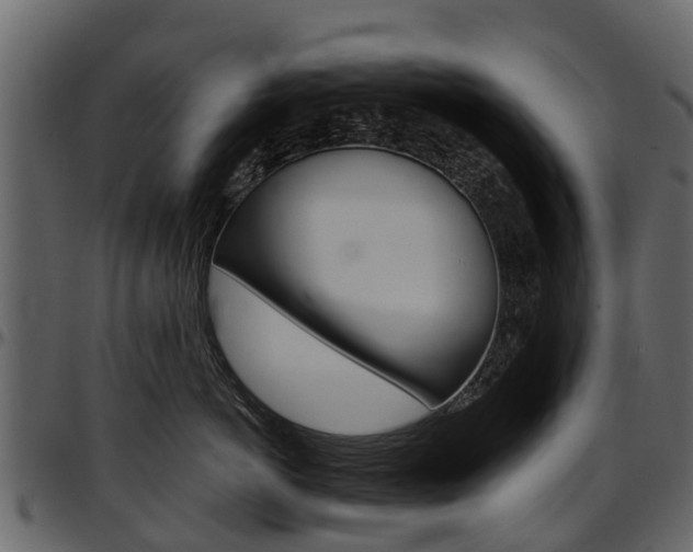 X0000097610766200802290756