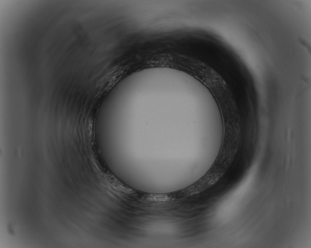 X0000097610767200802290756