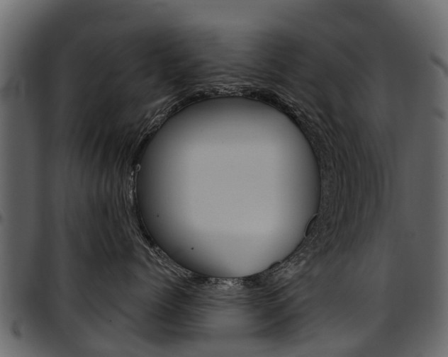 X0000097610768200802290756