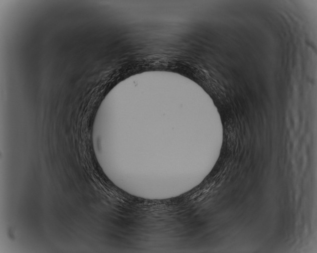 X0000097610769200802290755