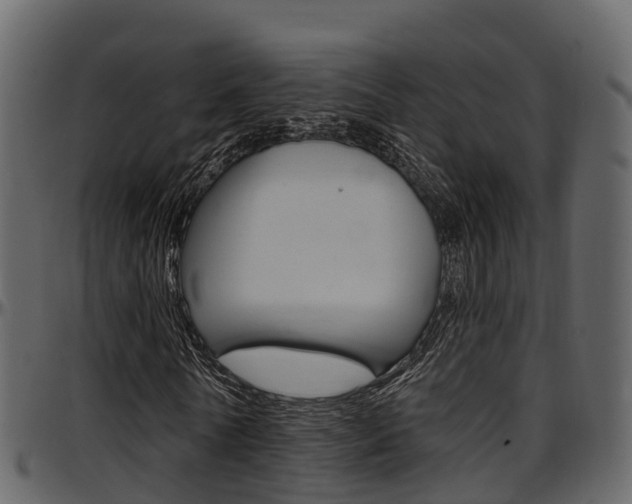 X0000097610770200802290755