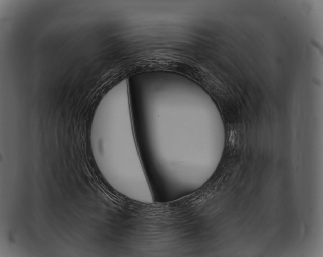 X0000097610771200802290755