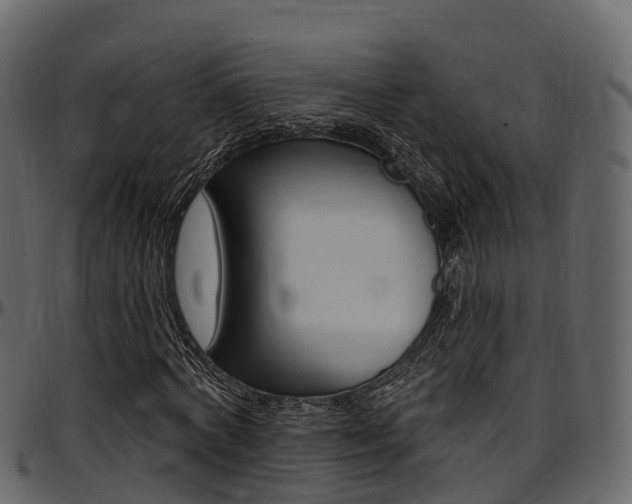 X0000097610772200802290755