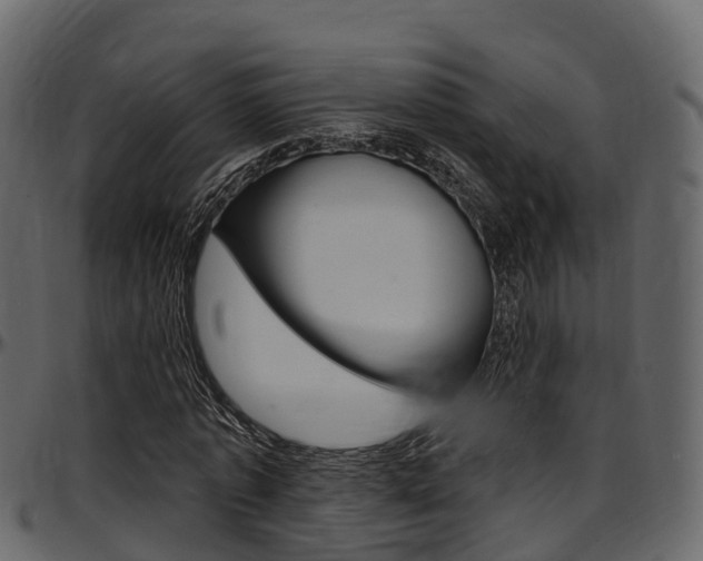 X0000097610773200802290755