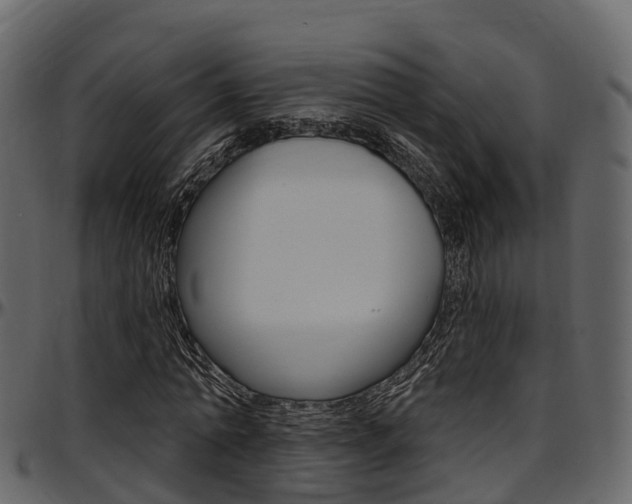 X0000097610774200802290755