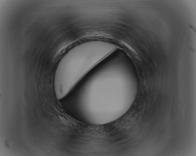 X0000097610775200802290755
