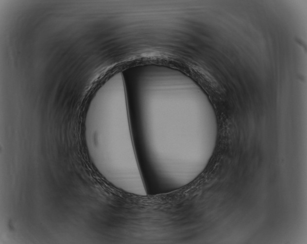 X0000097610776200802290755