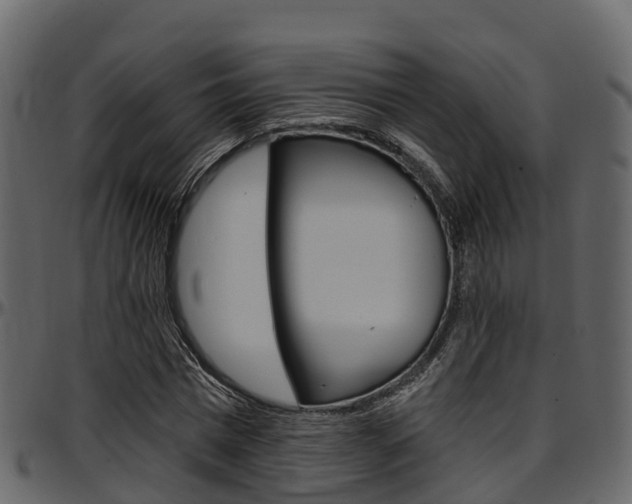 X0000097610777200802290755