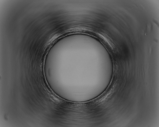 X0000097610778200802290755