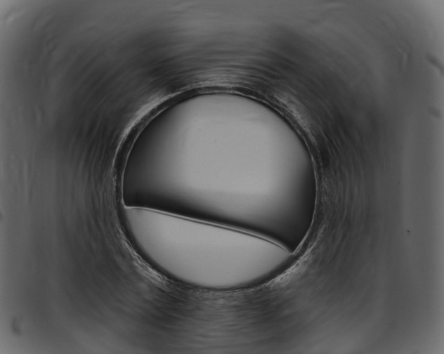 X0000097610779200802290755