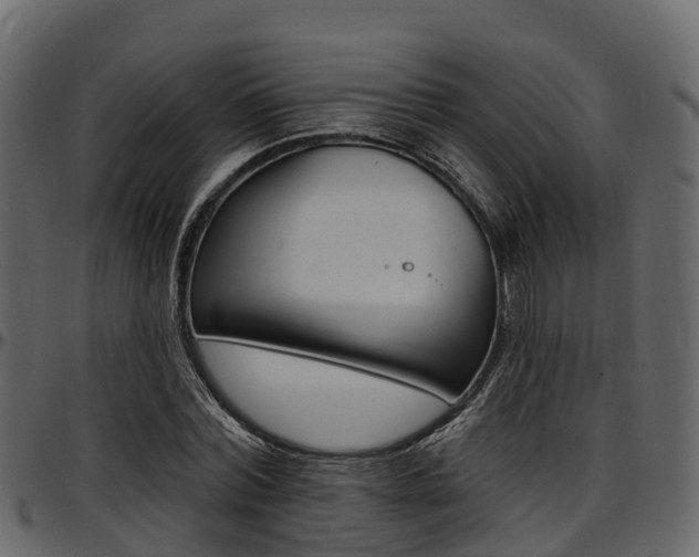 X0000097610780200802290755