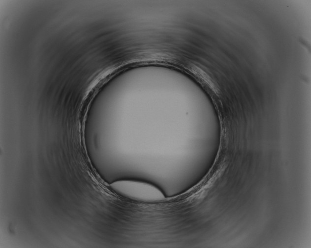 X0000097610781200802290755