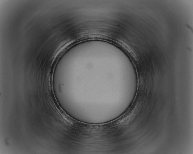 X0000097610782200802290755
