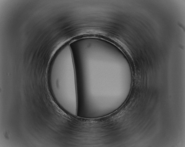 X0000097610783200802290755