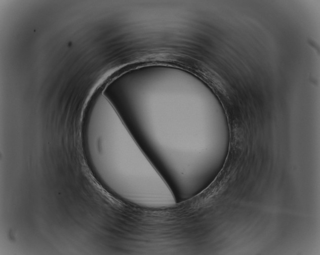 X0000097610784200802290755
