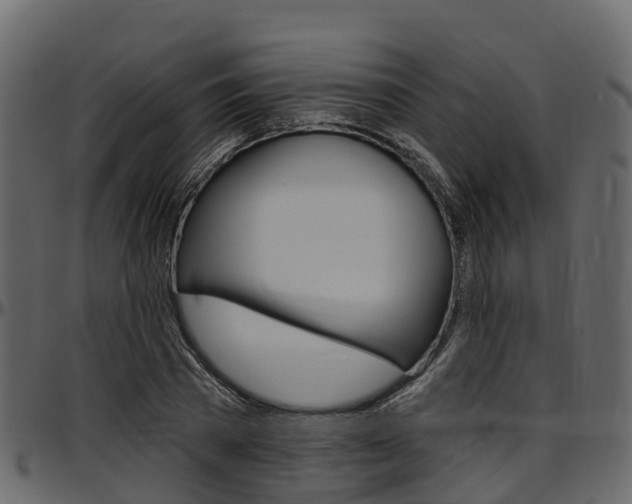 X0000097610785200802290755