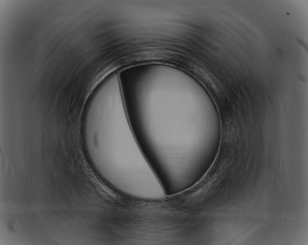X0000097610786200802290755