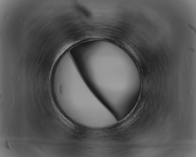 X0000097610787200802290755