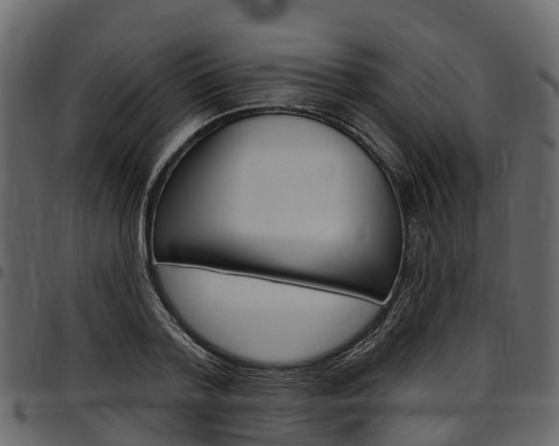 X0000097610788200802290755