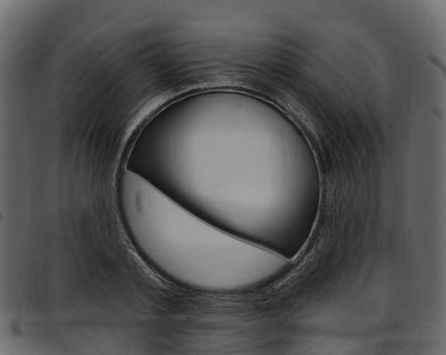 X0000097610789200802290755