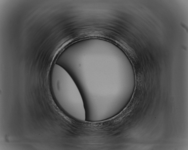 X0000097610790200802290755