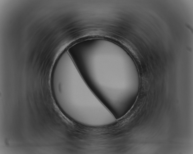 X0000097610791200802290755
