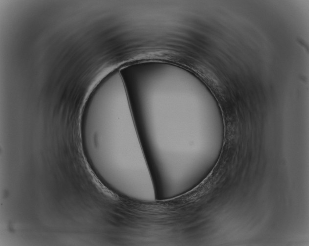 X0000097610792200802290755
