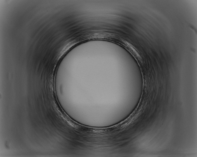 X0000097610794200802290755