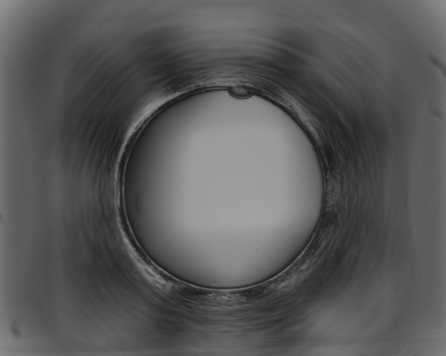X0000097610795200802290755