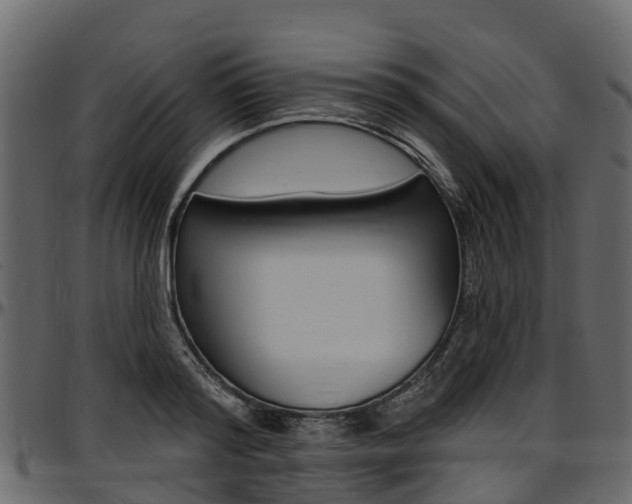 X0000097610796200802290755