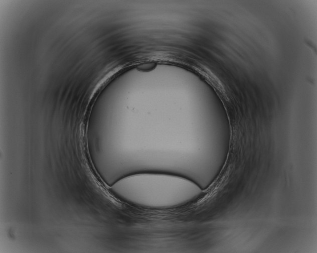 X0000097610798200802290755