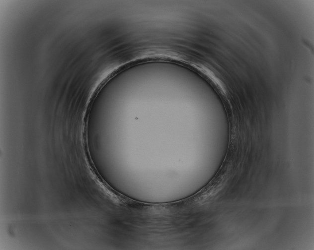 X0000097610799200802290755