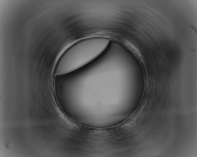 X0000097610800200802290755