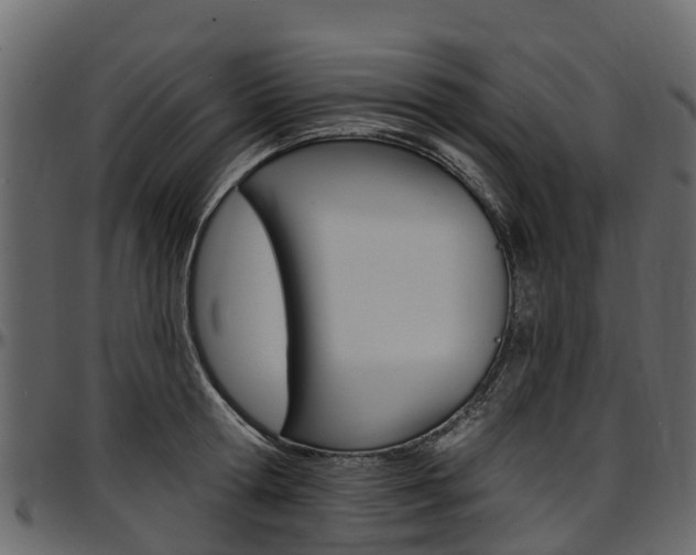 X0000097610802200802290755
