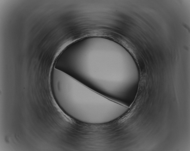 X0000097610803200802290755