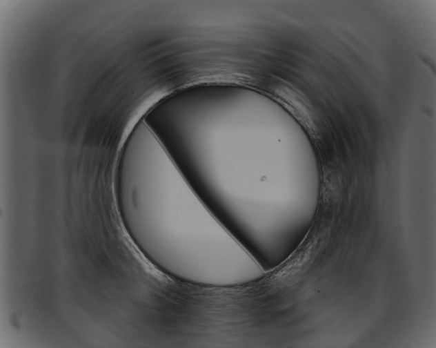 X0000097610804200802290755
