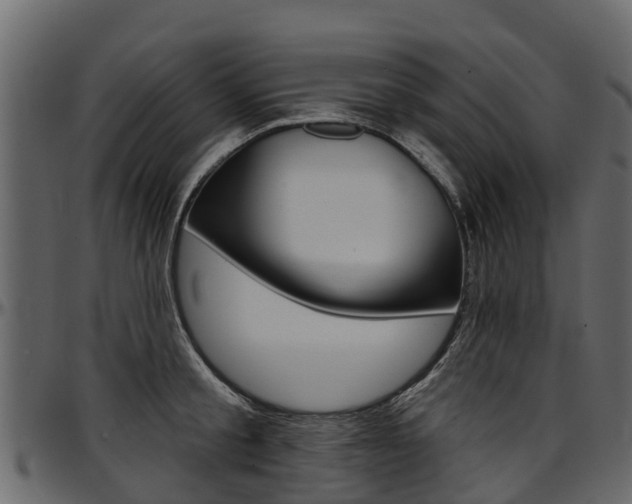 X0000097610805200802290755
