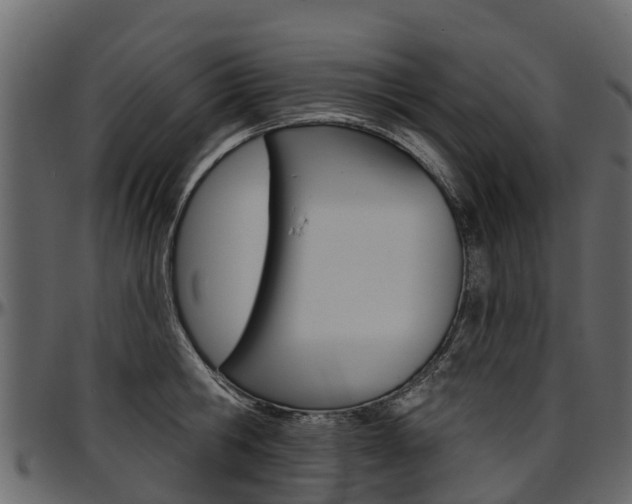 X0000097610806200802290755
