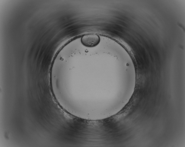 X0000097610807200802290754