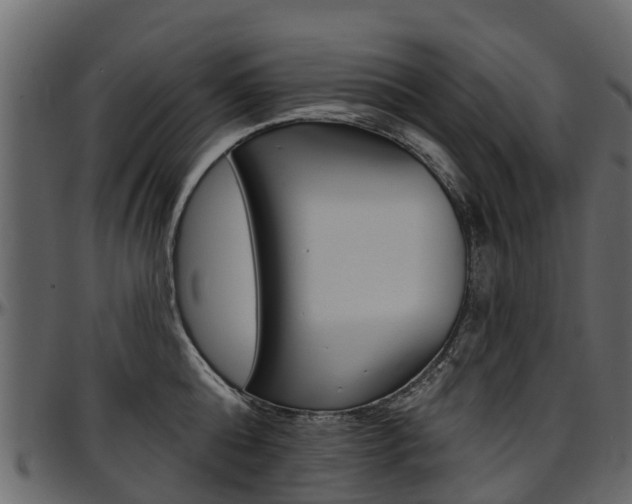 X0000097610808200802290754