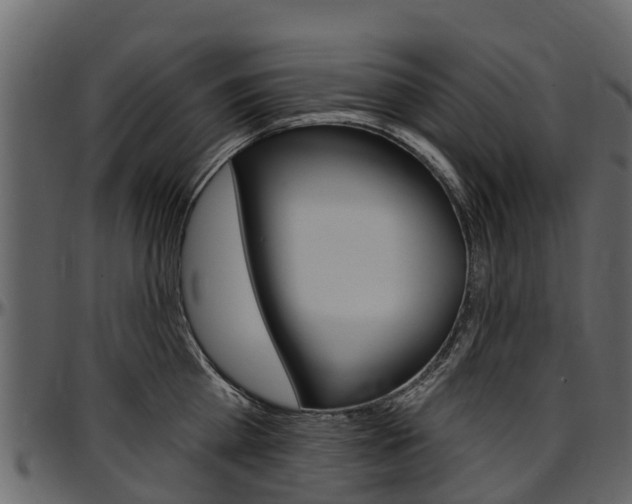 X0000097610809200802290754