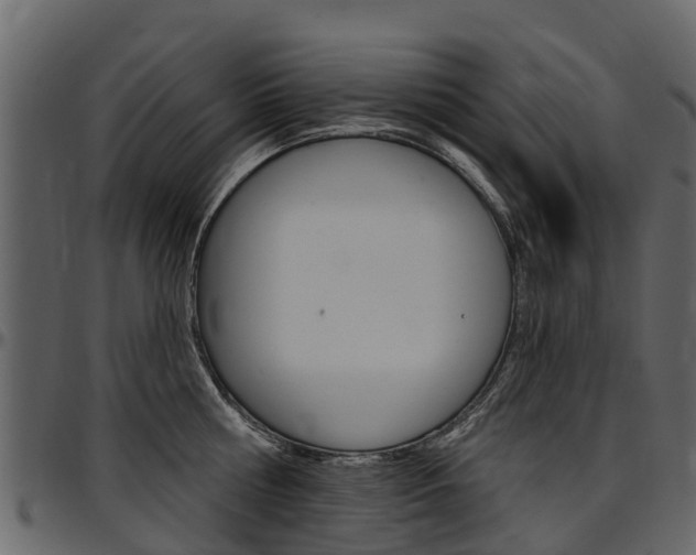 X0000097610810200802290754