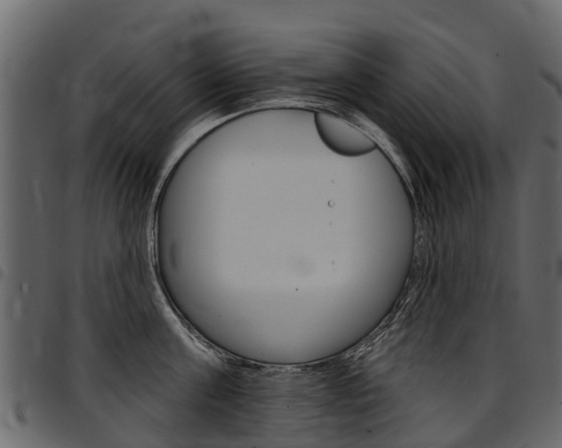 X0000097610811200802290754