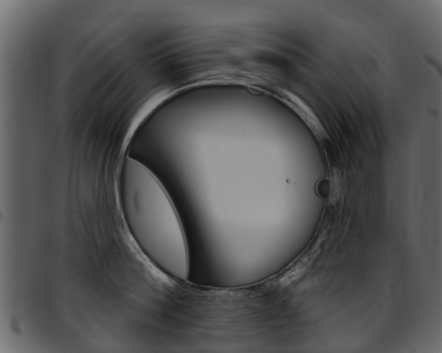 X0000097610812200802290754