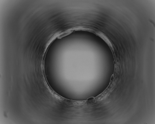 X0000097610813200802290754