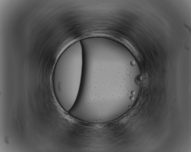 X0000097610814200802290754