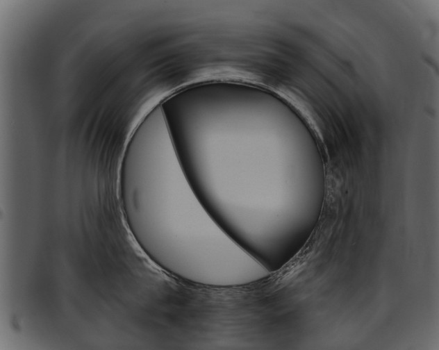 X0000097610815200802290754